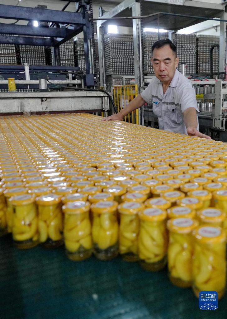 顶级现金娱乐